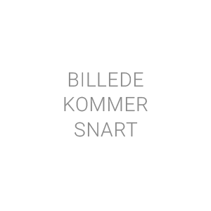 Caroline De Linde, Tandplejer